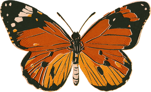 Textured Riso Butterfly